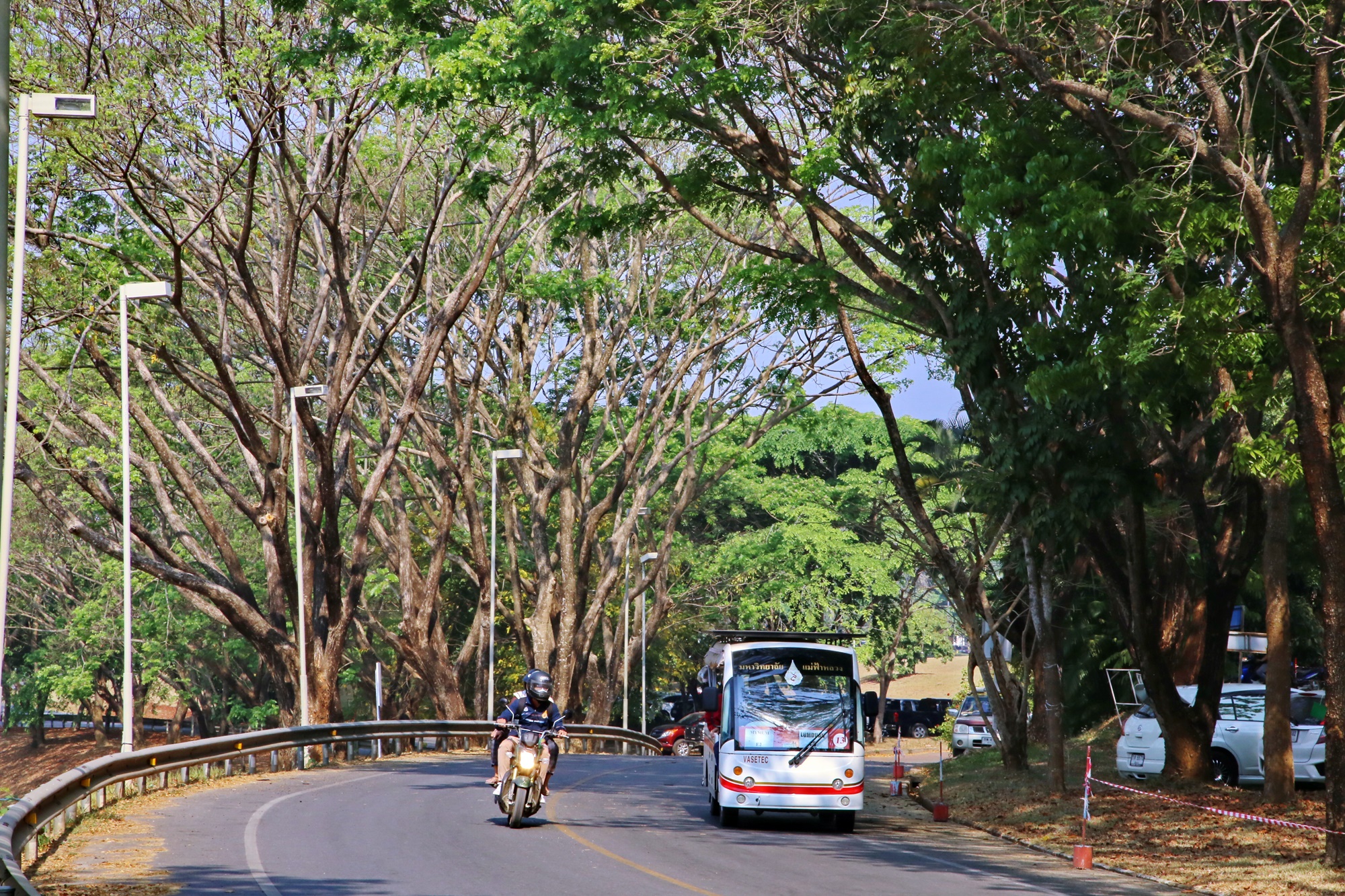 MFU News : MFU_safe_drive_2019__3_.JPG