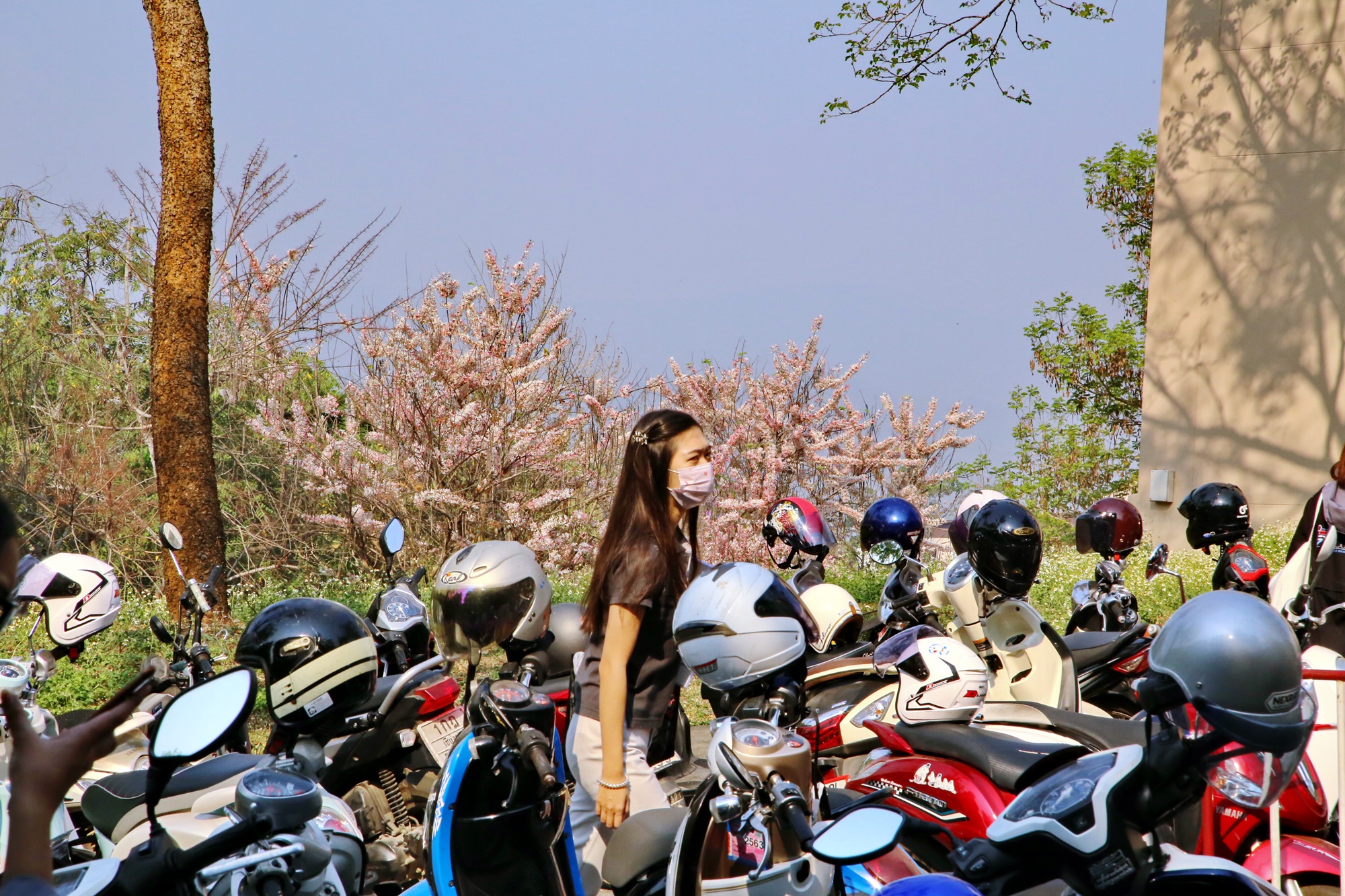 MFU News : MFU_safe_drive_2019__4_.JPG