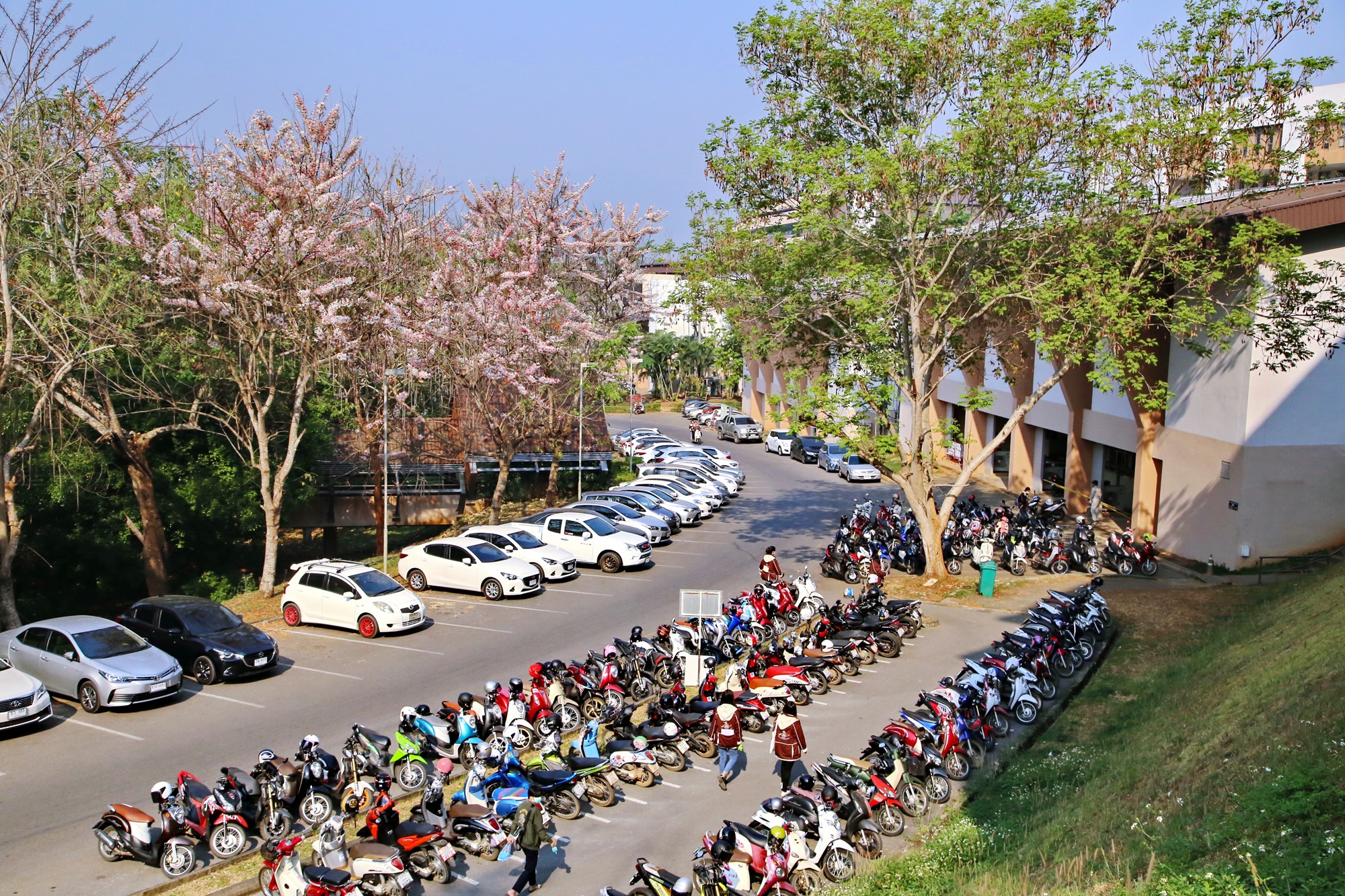MFU News : MFU_safe_drive_2019__5_.JPG