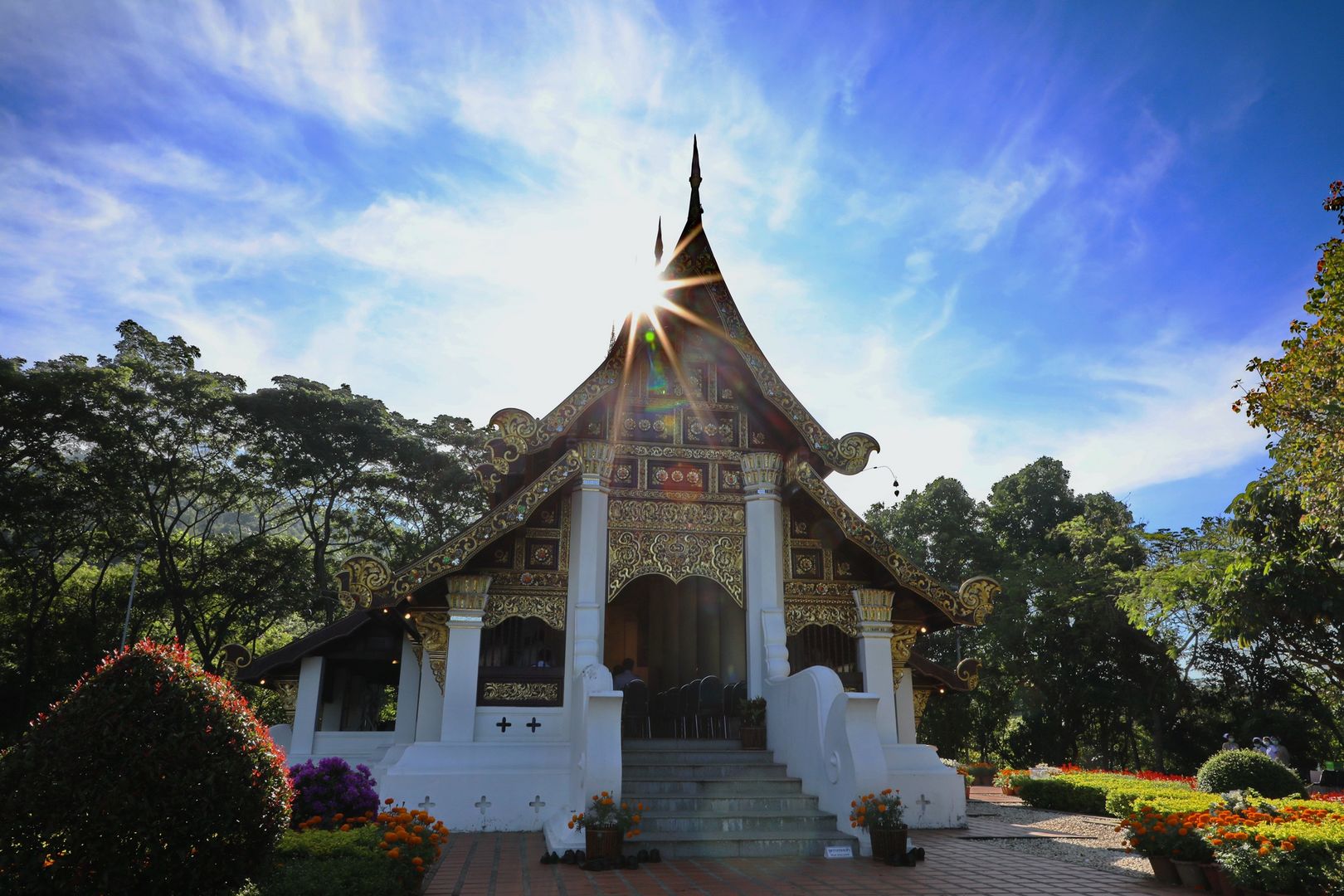 MFU News : for_King_Rama_9__12_.JPG